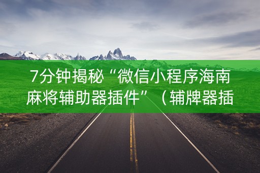 7分钟揭秘“微信小程序海南麻将辅助器插件”（辅牌器插件购买)