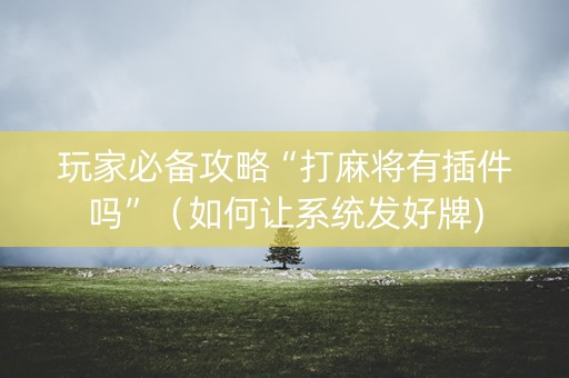 玩家必备攻略“打麻将有插件吗”（如何让系统发好牌)