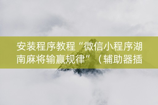 安装程序教程“微信小程序湖南麻将输赢规律”（辅助器插件)
