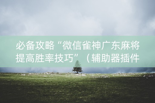必备攻略“微信雀神广东麻将提高胜率技巧”（辅助器插件)