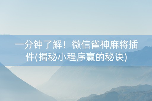 一分钟了解！微信雀神麻将插件(揭秘小程序赢的秘诀)