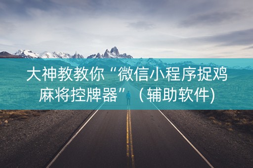 大神教教你“微信小程序捉鸡麻将控牌器”（辅助软件)