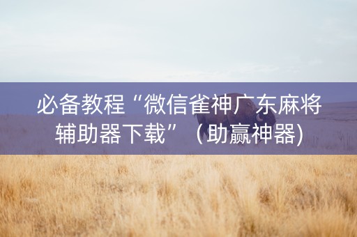 必备教程“微信雀神广东麻将辅助器下载”（助赢神器)