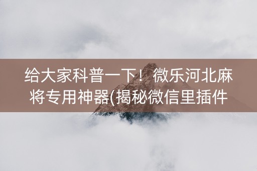 给大家科普一下！微乐河北麻将专用神器(揭秘微信里插件购买)