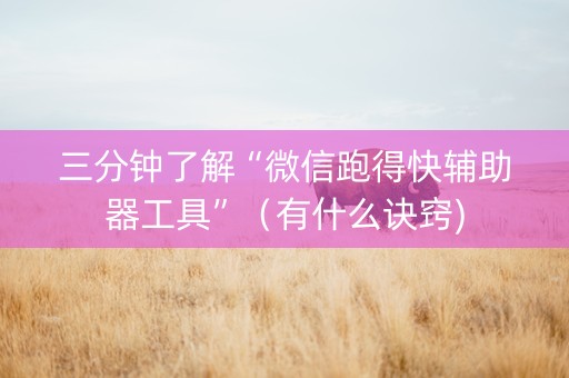 三分钟了解“微信跑得快辅助器工具”（有什么诀窍)