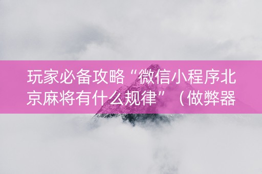 玩家必备攻略“微信小程序北京麻将有什么规律”（做弊器软件下载)