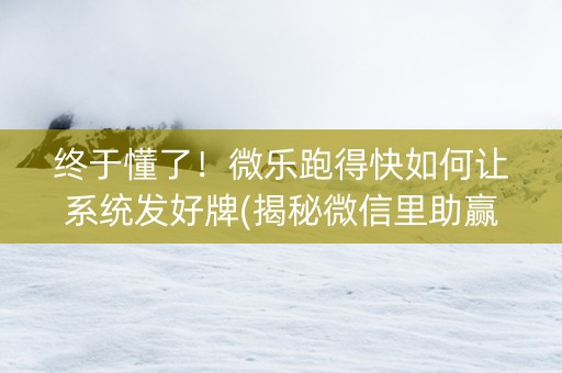 终于懂了！微乐跑得快如何让系统发好牌(揭秘微信里助赢神器购买)