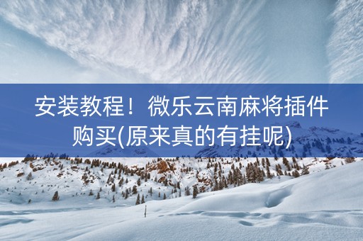 安装教程！微乐云南麻将插件购买(原来真的有挂呢)