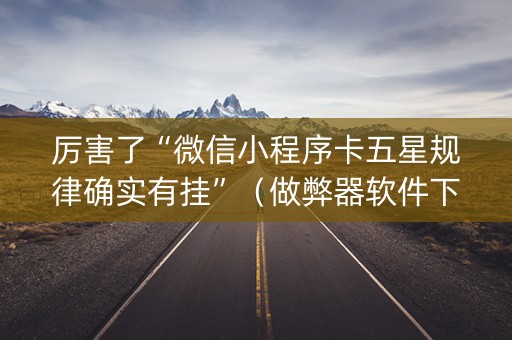 厉害了“微信小程序卡五星规律确实有挂”（做弊器软件下载)