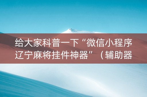 给大家科普一下“微信小程序辽宁麻将挂件神器”（辅助器插件)