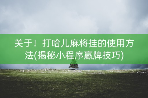 关于！打哈儿麻将挂的使用方法(揭秘小程序赢牌技巧)