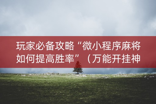 玩家必备攻略“微小程序麻将如何提高胜率”（万能开挂神器)