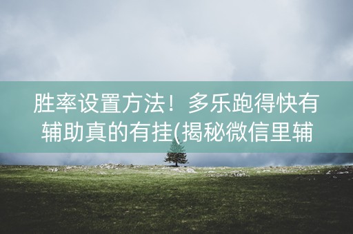 胜率设置方法！多乐跑得快有辅助真的有挂(揭秘微信里辅牌器)