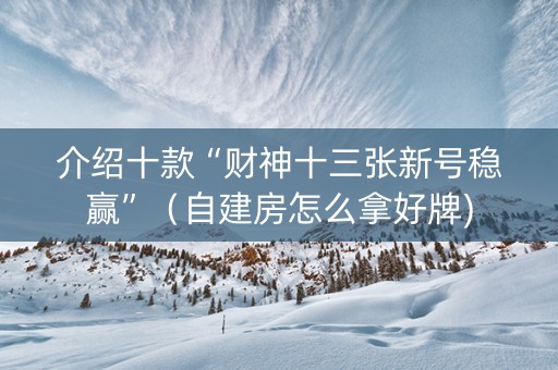 介绍十款“财神十三张新号稳赢”（自建房怎么拿好牌)