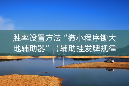 胜率设置方法“微小程序锄大地辅助器”（辅助挂发牌规律)