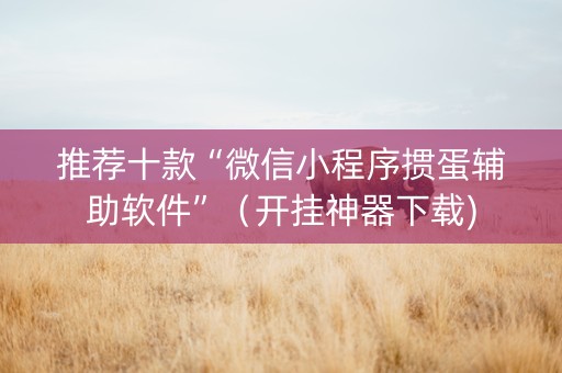 推荐十款“微信小程序掼蛋辅助软件”（开挂神器下载)