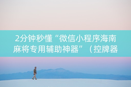 2分钟秒懂“微信小程序海南麻将专用辅助神器”（控牌器)