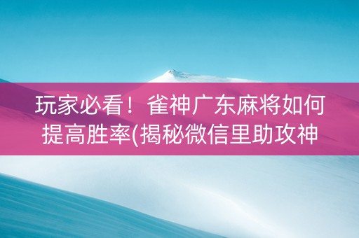 玩家必看！雀神广东麻将如何提高胜率(揭秘微信里助攻神器)