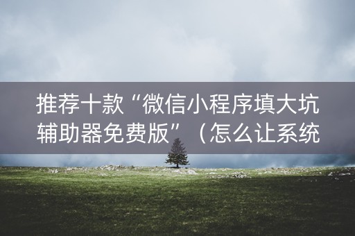 推荐十款“微信小程序填大坑辅助器免费版”（怎么让系统给自己好牌)