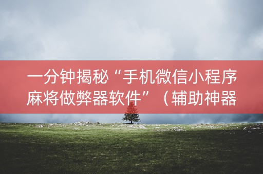 一分钟揭秘“手机微信小程序麻将做弊器软件”（辅助神器免费)