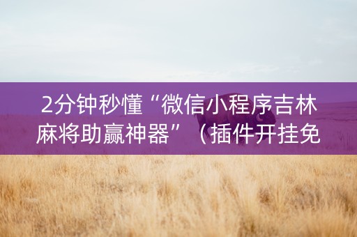 2分钟秒懂“微信小程序吉林麻将助赢神器”（插件开挂免费AI)