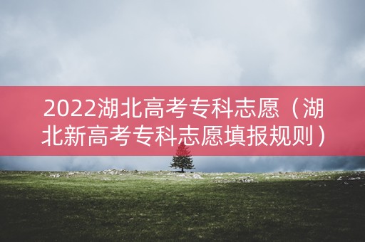 2022湖北高考专科志愿（湖北新高考专科志愿填报规则）