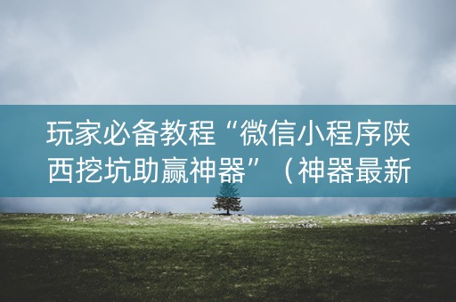 玩家必备教程“微信小程序陕西挖坑助赢神器”（神器最新免费)