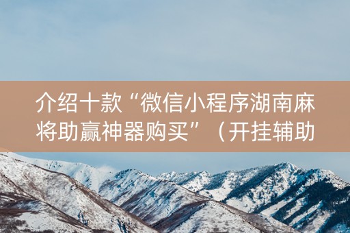 介绍十款“微信小程序湖南麻将助赢神器购买”（开挂辅助器插件)