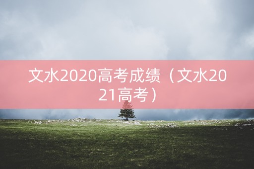 文水2020高考成绩（文水2021高考）