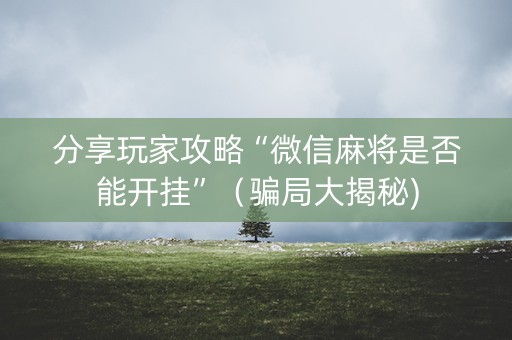 分享玩家攻略“微信麻将是否能开挂”（骗局大揭秘)