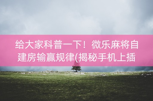 给大家科普一下！微乐麻将自建房输赢规律(揭秘手机上插件购买)
