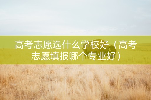 高考志愿选什么学校好（高考志愿填报哪个专业好）