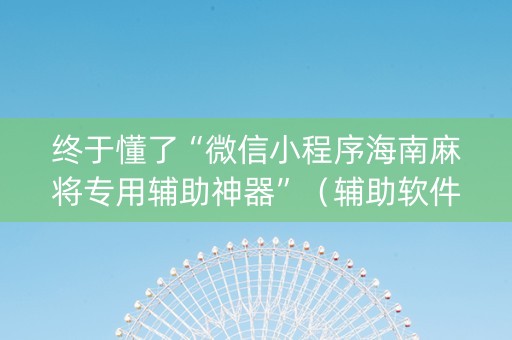 终于懂了“微信小程序海南麻将专用辅助神器”（辅助软件)