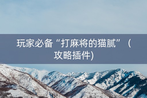 玩家必备“打麻将的猫腻”（攻略插件)