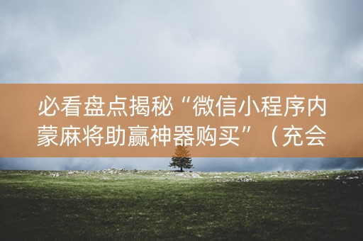 必看盘点揭秘“微信小程序内蒙麻将助赢神器购买”（充会员胜率高)