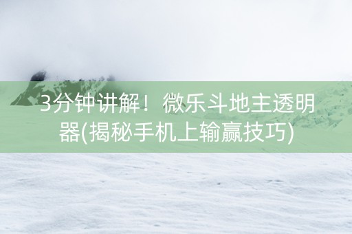 3分钟讲解！微乐斗地主透明器(揭秘手机上输赢技巧)