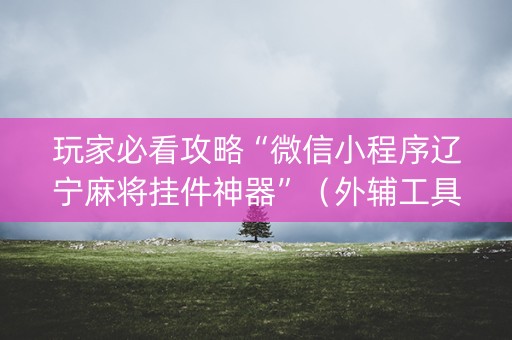 玩家必看攻略“微信小程序辽宁麻将挂件神器”（外辅工具)