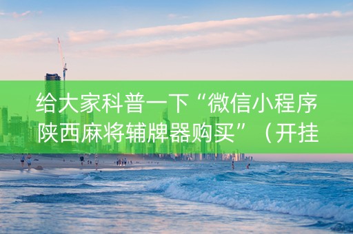 给大家科普一下“微信小程序陕西麻将辅牌器购买”（开挂辅助脚本)