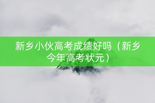 新乡小伙高考成绩好吗（新乡今年高考状元）