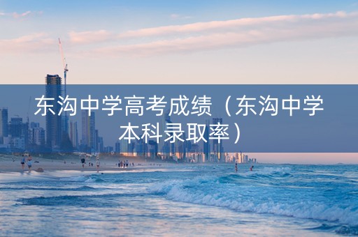 东沟中学高考成绩（东沟中学本科录取率）