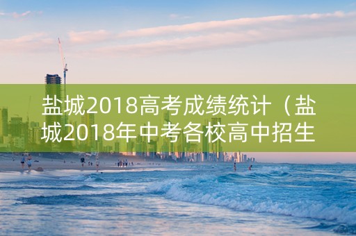 盐城2018高考成绩统计（盐城2018年中考各校高中招生分数线）