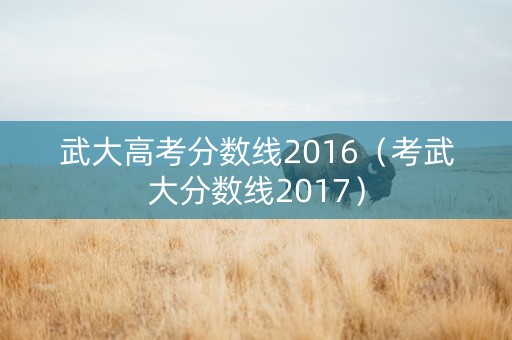 武大高考分数线2016（考武大分数线2017）