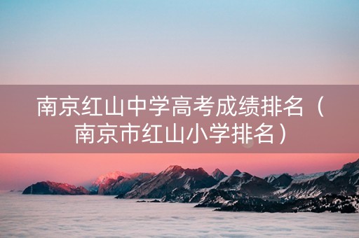 南京红山中学高考成绩排名（南京市红山小学排名）