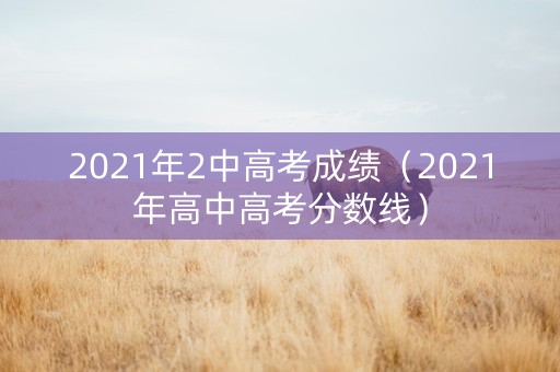 2021年2中高考成绩（2021年高中高考分数线）