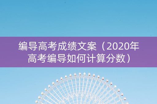 编导高考成绩文案（2020年高考编导如何计算分数）