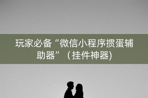 玩家必备“微信小程序掼蛋辅助器”（挂件神器)