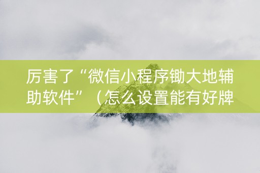 厉害了“微信小程序锄大地辅助软件”（怎么设置能有好牌)