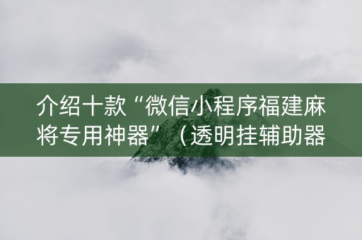 介绍十款“微信小程序福建麻将专用神器”（透明挂辅助器)