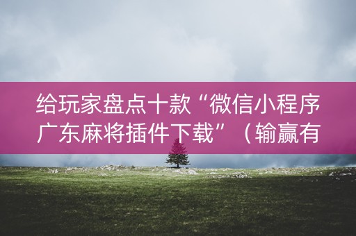 给玩家盘点十款“微信小程序广东麻将插件下载”（输赢有什么规律)