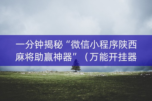 一分钟揭秘“微信小程序陕西麻将助赢神器”（万能开挂器)